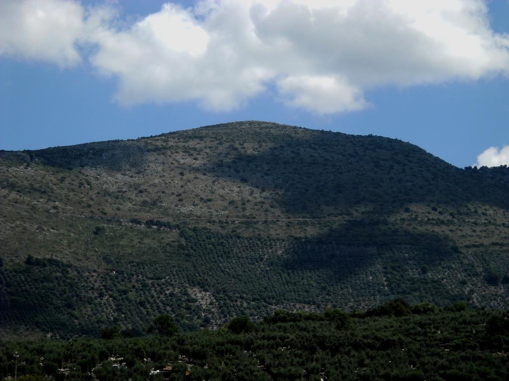 Agriturismo Casale Re Sonnino Номер фото