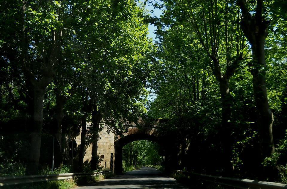 Agriturismo Casale Re Sonnino Номер фото
